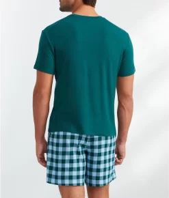 BARE The Cozy Brushed Cotton Boxer 5 BARE The Cozy Brushed Cotton Boxer -Fashion Underwear barbn2086 greenbuff 3x