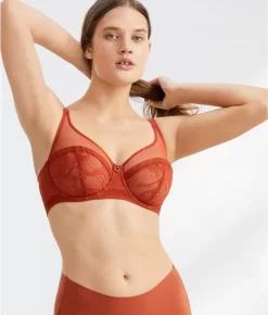 Chantelle True Lace Full Coverage Bra 17 Chantelle True Lace Full Coverage Bra -Fashion Underwear cha11m1f21 fox 1x