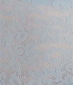 All Over Lace Modern Brief -Fashion Underwear tcfa4134 ashleyblue 3