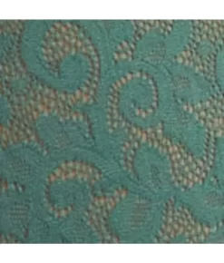 All Over Lace Modern Brief -Fashion Underwear tcfineintimates trekkinggreenx sw